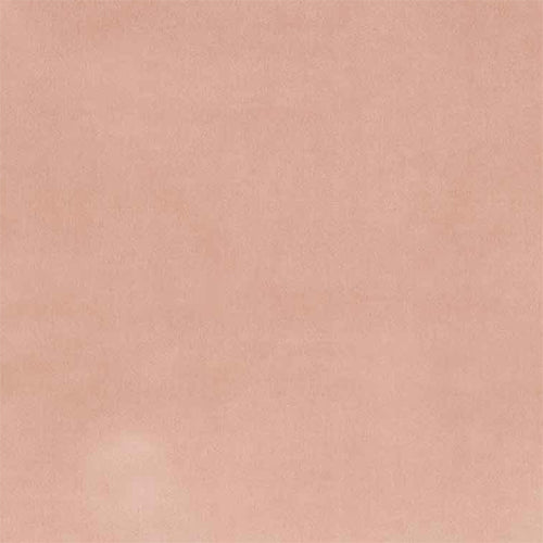 Warwick Plush - The Foam Booth