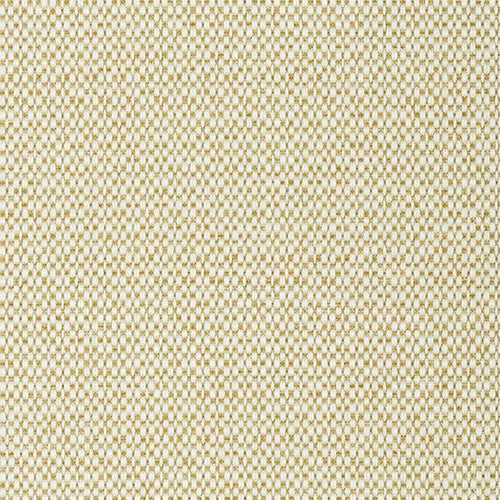 Mokum Reef - The Foam Booth