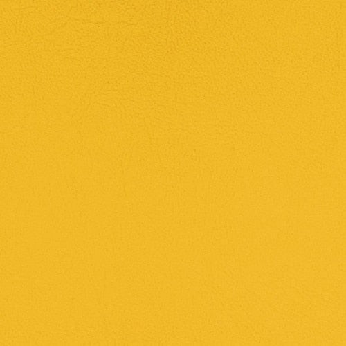 Pacifica Standard - The Foam Booth