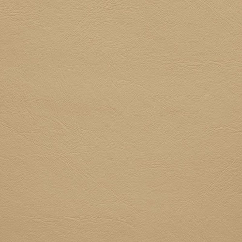 Pacifica Standard - The Foam Booth