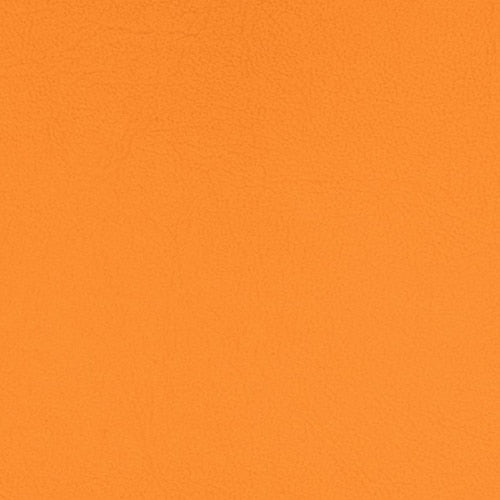 Pacifica Standard - The Foam Booth