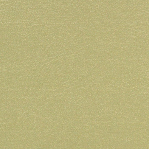 Pacifica Standard - The Foam Booth