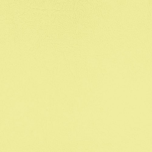 Pacifica Standard - The Foam Booth