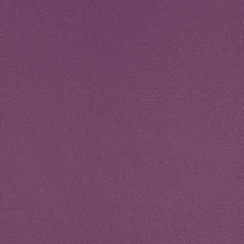 Pacifica Standard - The Foam Booth