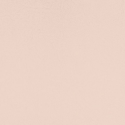 Pacifica Standard - The Foam Booth