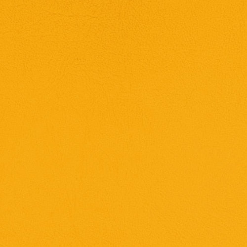 Pacifica Standard - The Foam Booth