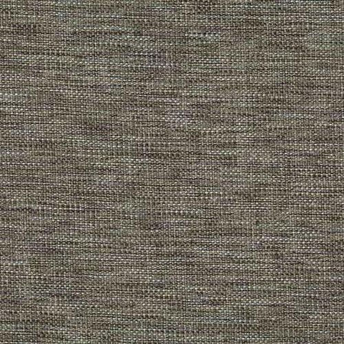 Warwick Blaze - The Foam Booth