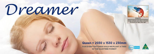 Queen Dreamer - The Foam Booth