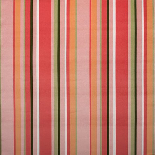 Stripe Coral
