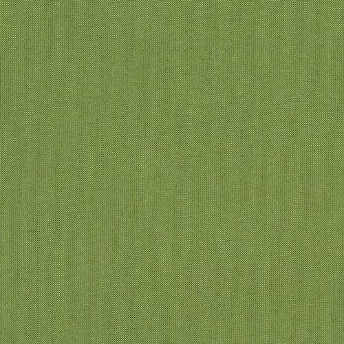 Cilantro