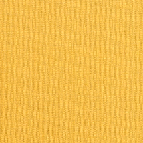 Daffodil