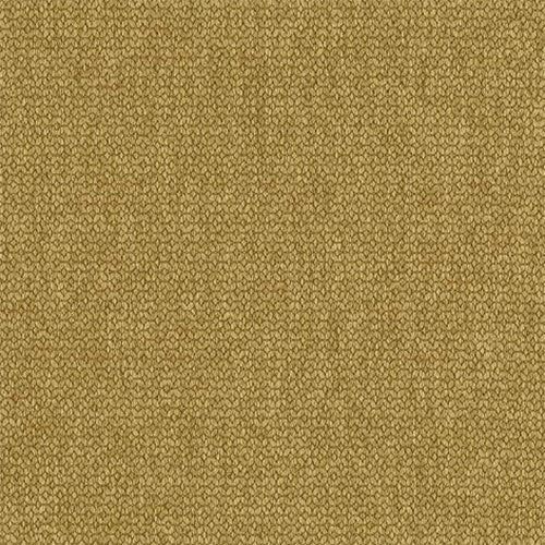 Warwick Bhodi - The Foam Booth