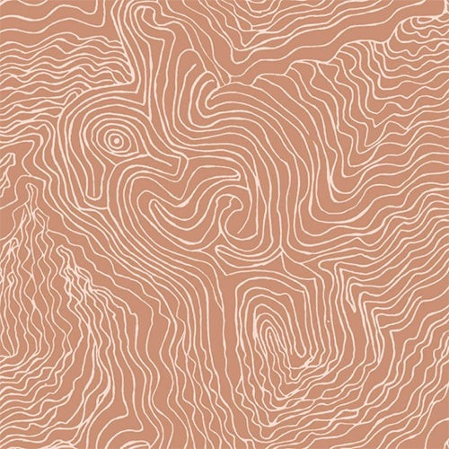 Jimmy Pike Topography - The Foam Booth