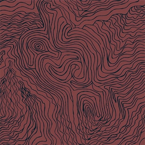 Jimmy Pike Topography - The Foam Booth