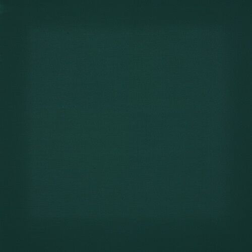 Dickson Orchestra - The Foam Booth