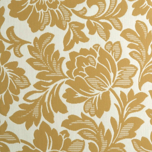 Inside Out Into Lagoon - The Foam Booth